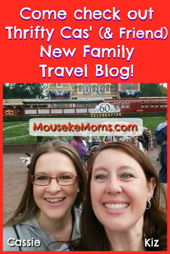 mousekemoms-ad-ttc-side