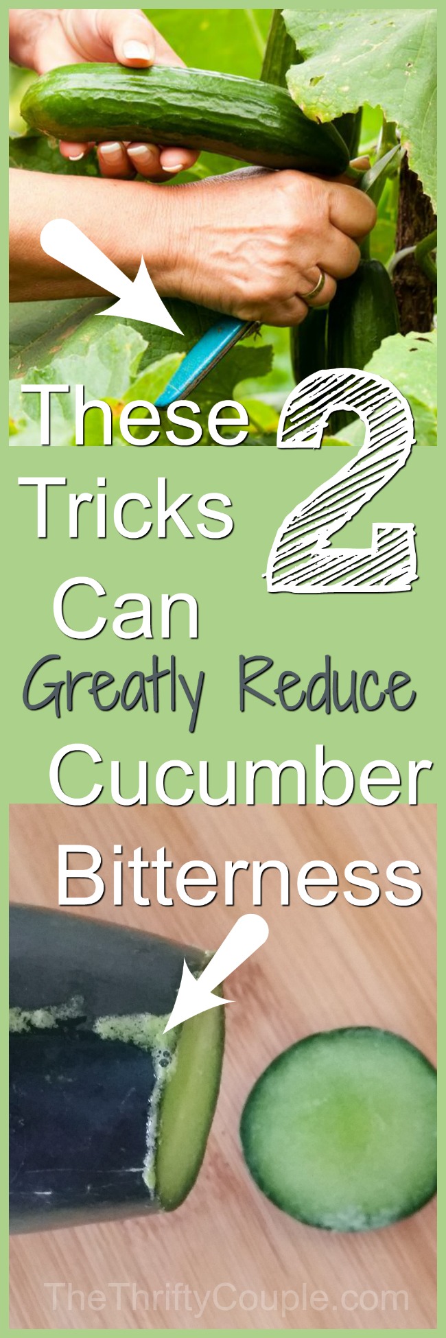 two-tricks-reduce-cucumber-bitterness