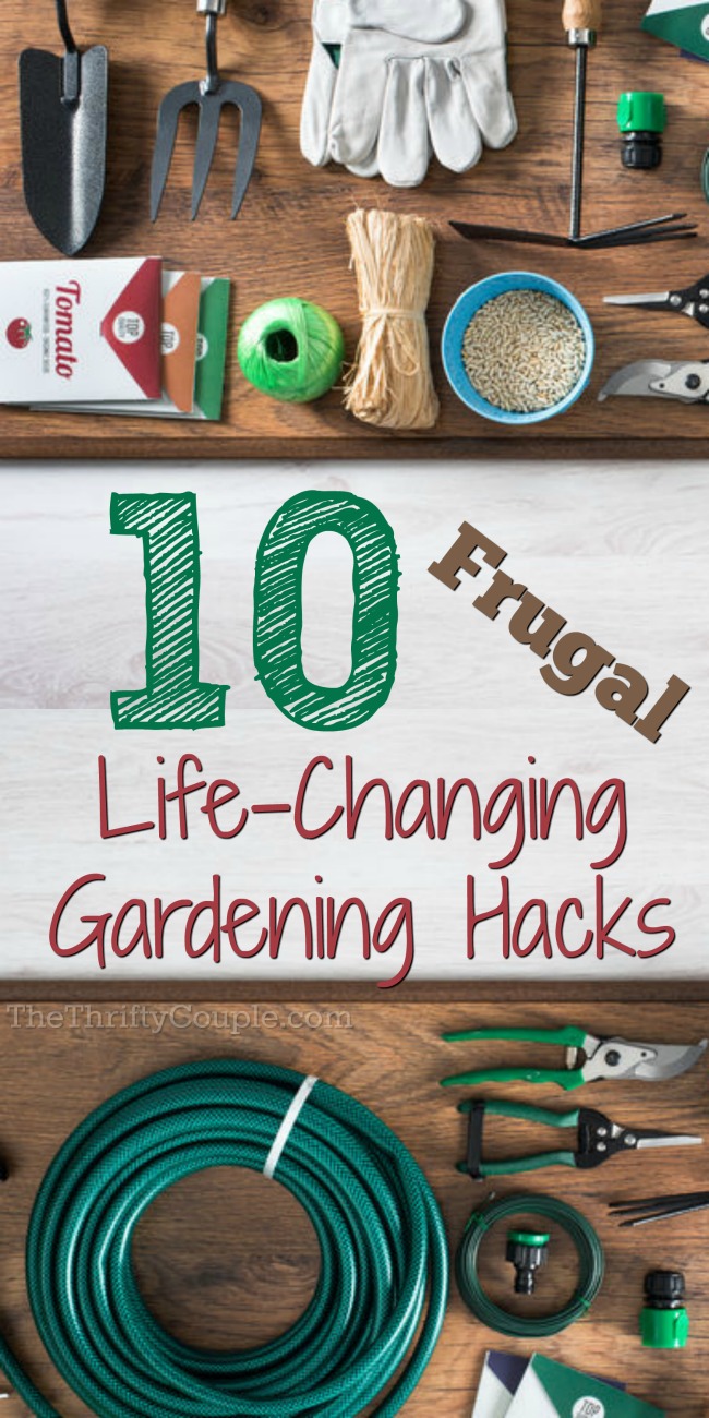 10-frugal-gardening-hacks