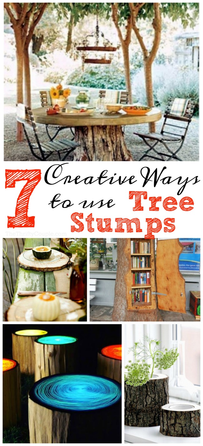 7 Tree Stump Creative Diy Ideas The Thrifty Couple