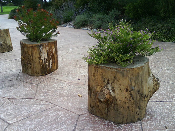 outdoor-planters-made-from-tree-stumps