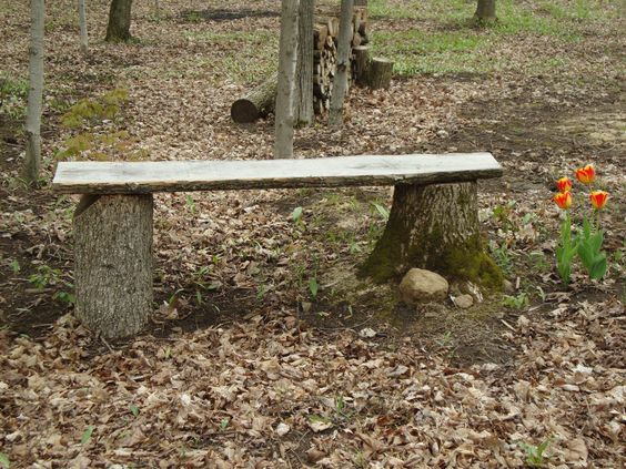 tree-stump-bench