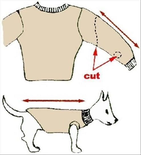 diy-dog-sweater