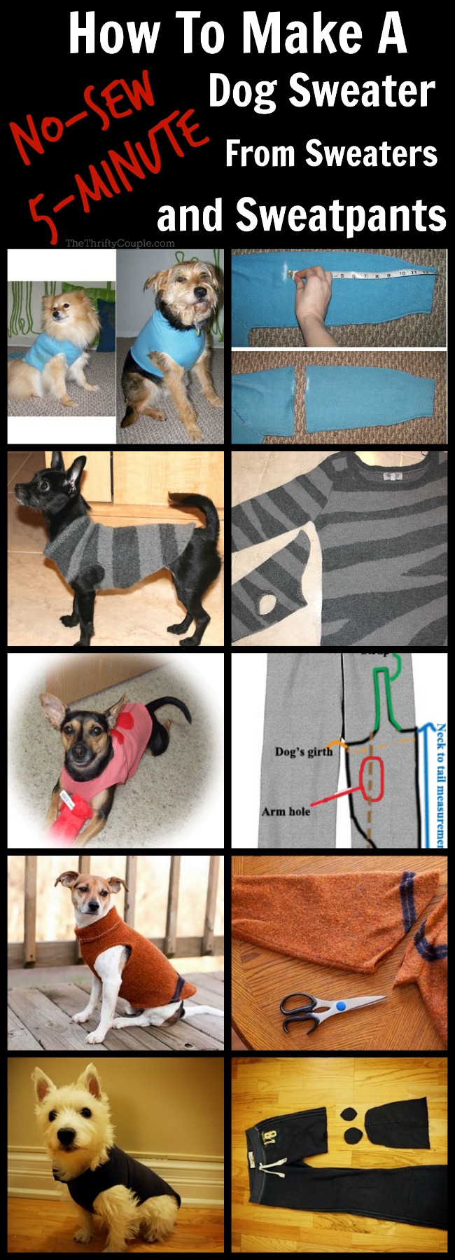 how-to-make-no-sew-dog-sweater-from-sweater-sweatpants-sweatshirt