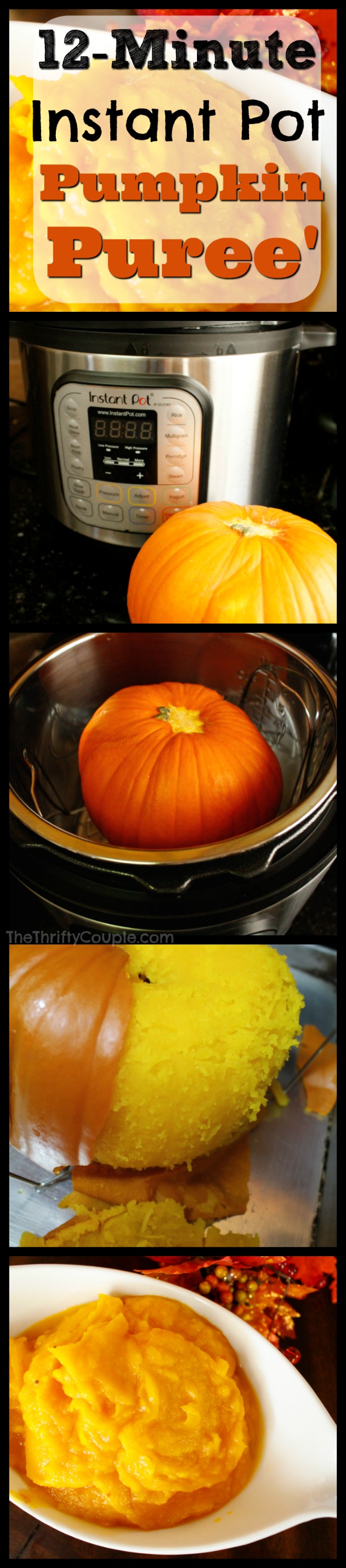 12-minute-instant-pot-pumpkin-puree