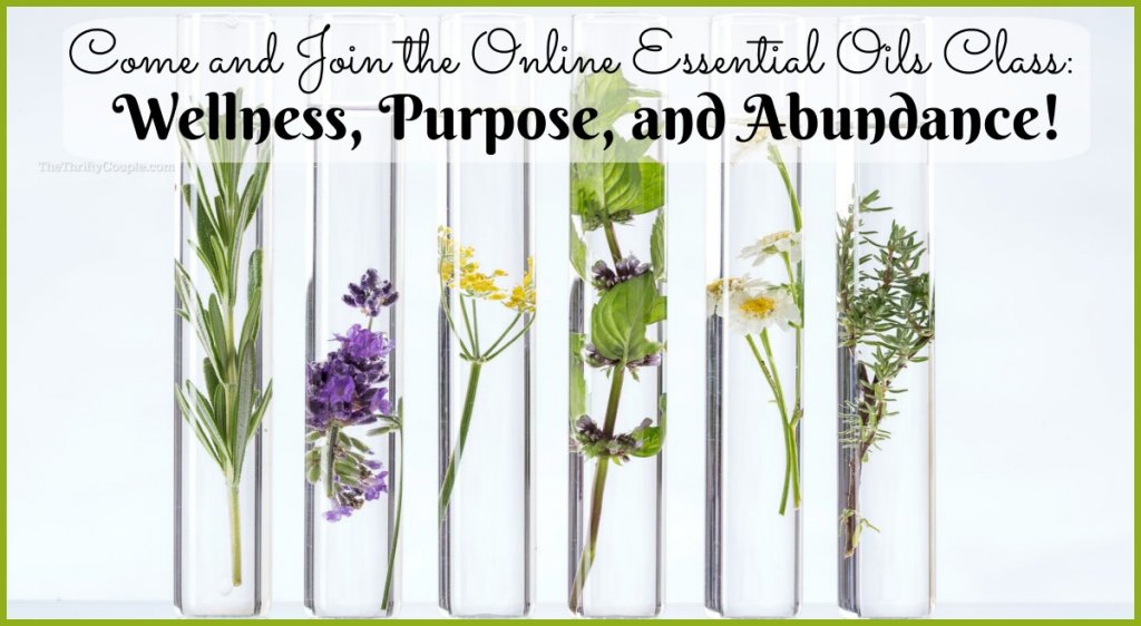 Learn How To Use Essential Oils In This Free Online Class