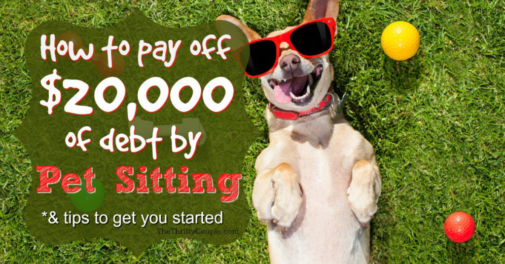 How to Pay Off $20K of Debt By Pet Sitting