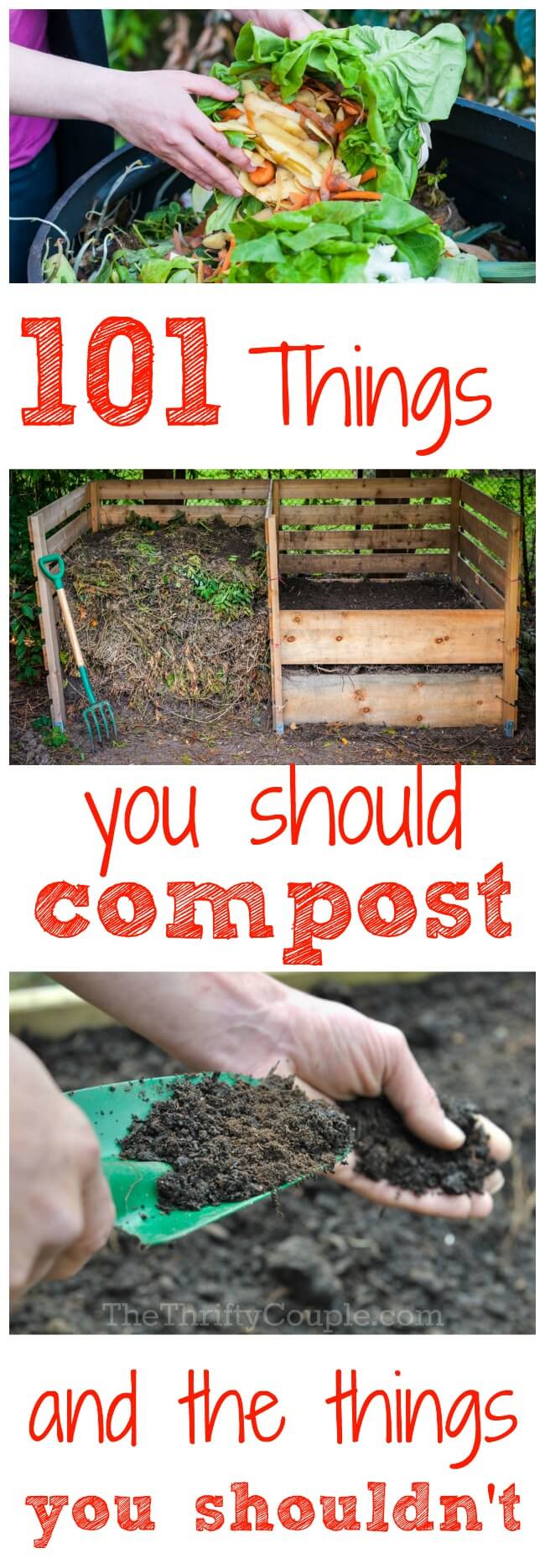 101 Things To Compost