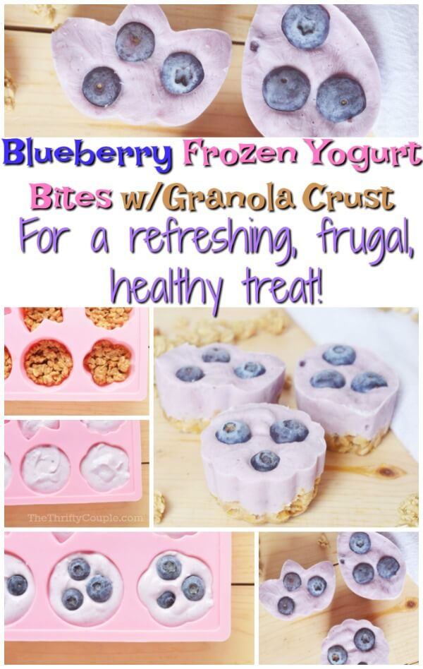 How to Make Blueberry Frozen Yogurt Snack Bites with Granola