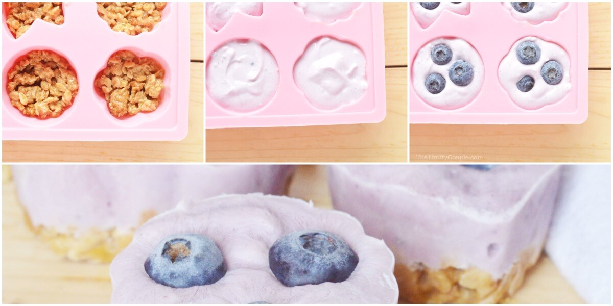 Blueberry Frozen Yogurt Snack Bites