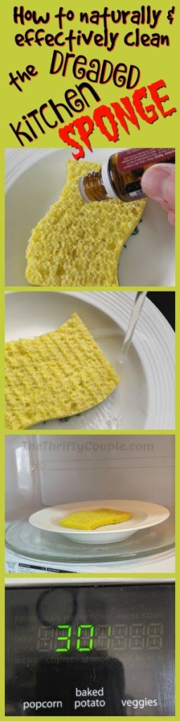 step by step process on how to remove the odors from your kitchen sponge using essential oils, water, vinegar and microwave
