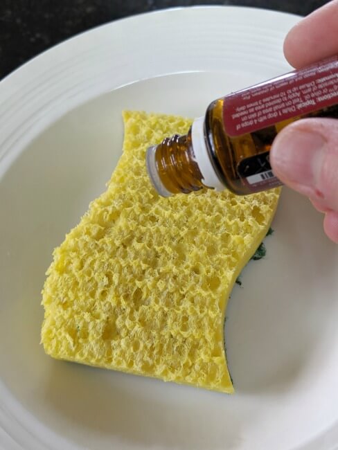 use essential oils to clean the kitchen sponge. This oil is Thieves oil from young living for natural cleaning