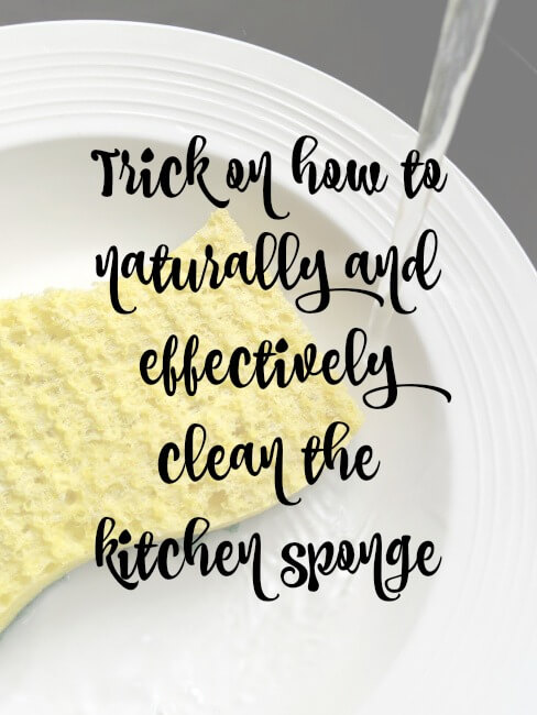 trick on how to naturally and effectively clean the kitchen sponge